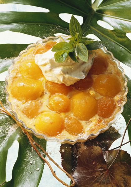 Aprikosenkuchen mit Vanillesahne