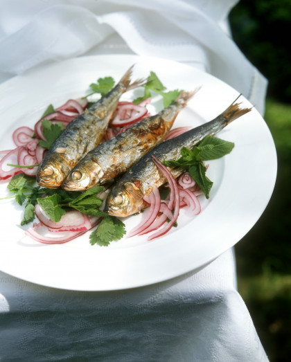 Sarde e cipolla (Grilled sardines with onions, Italy)