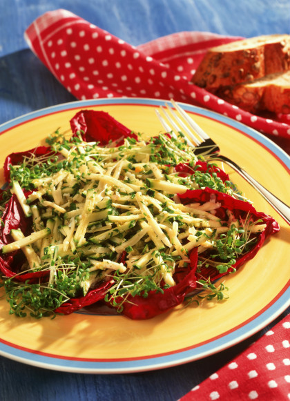 Courgette salad with cheese and cress on radicchio leaves