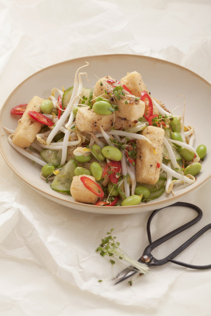 Vegan Soya bean salad with bean sprouts and tofu