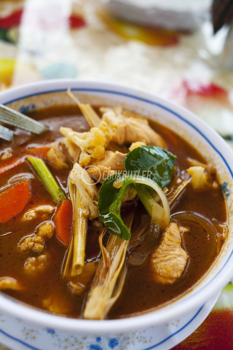 Tom yam gai (sour spicy soup with vegetables and chicken, Thailand) | preview