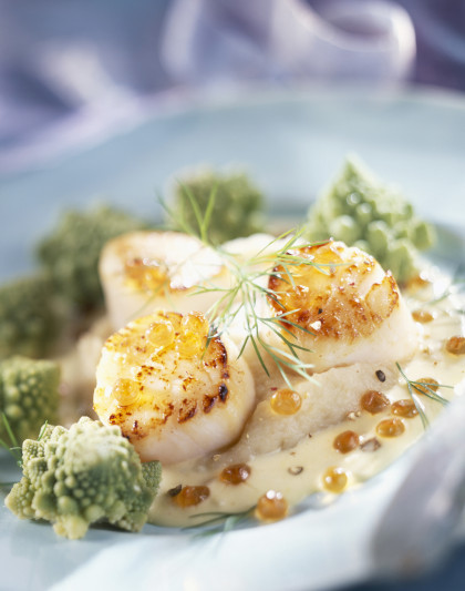 Scallops with Celeriac Purée and Dill sauce