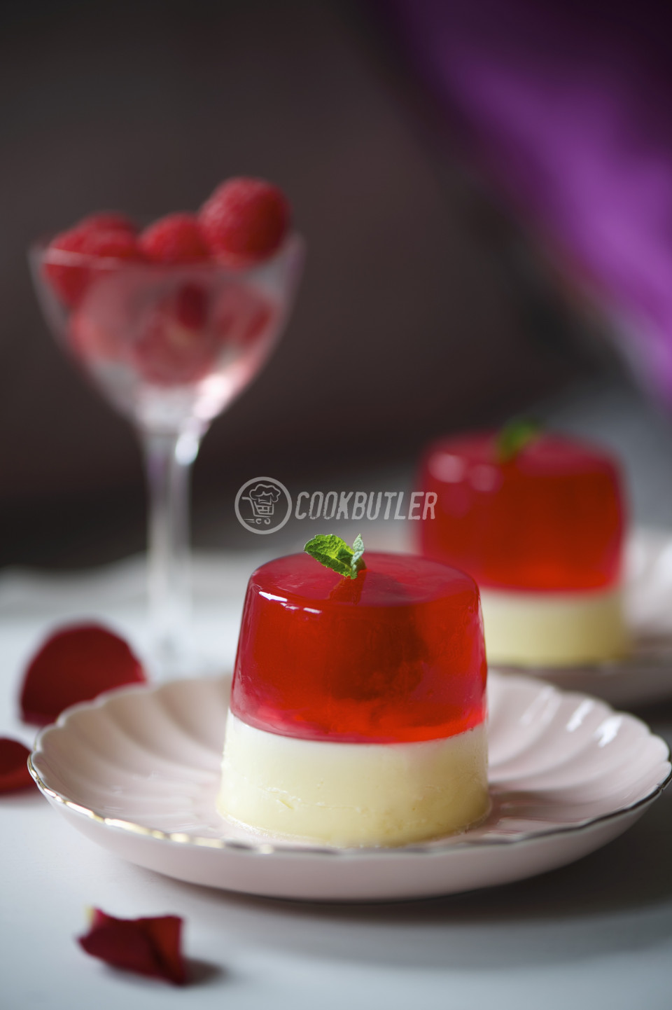 Raspberry jelly with white chocolate panna cotta | preview