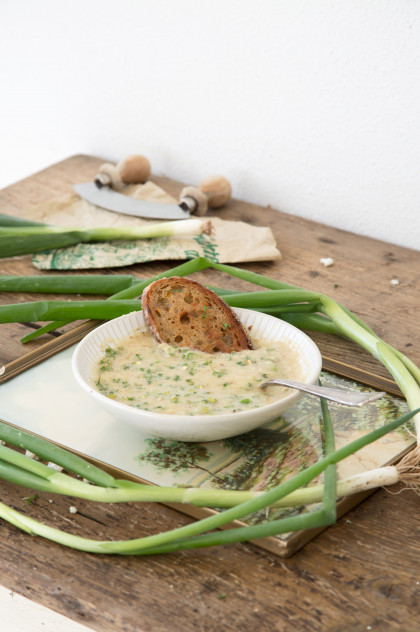 Baked cauliflower soup with fresh sprouts