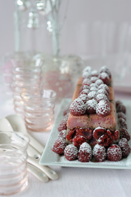 Chocolate-raspberry and pink biscuit ice cream log cake (gluten-free, dairy-free, sugar free)