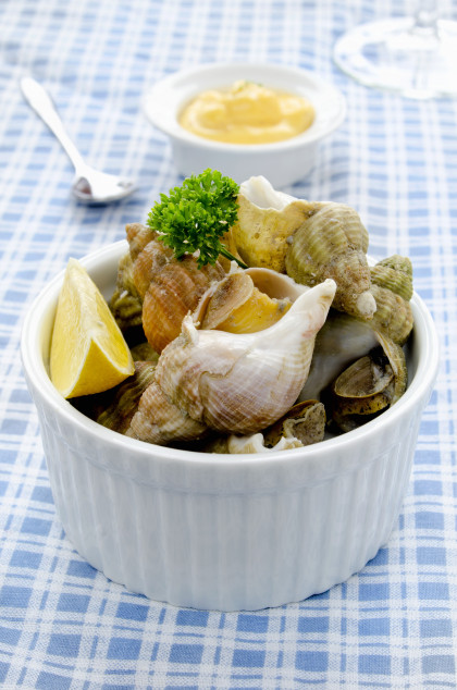 Whelks with mayonnaise