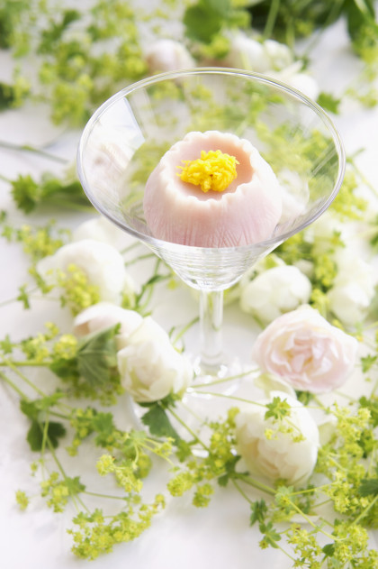 Wagashi in the shape of a camomile flower