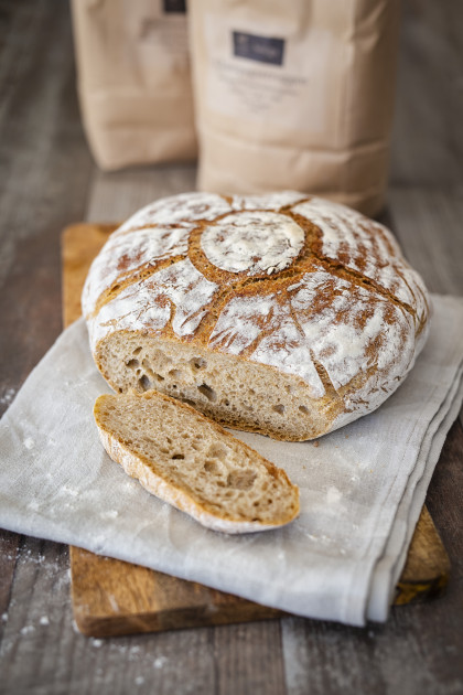 No-knead pot bread with manitoba flour and champagne rye