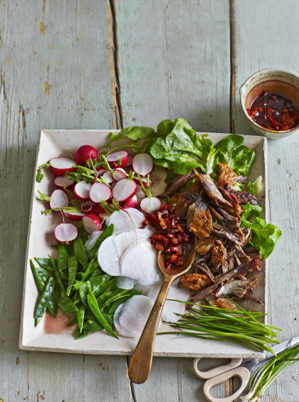 Mangetout & radish salad with duck meat and plum & chilli sauce