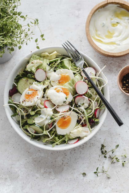 Salad with cucumber, radish sprouts, eggs and yogurt dressing